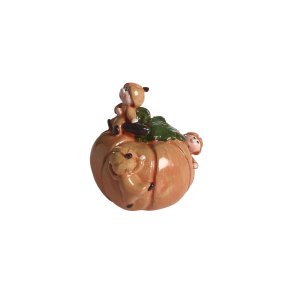 Pumpkin kid, H.5cm