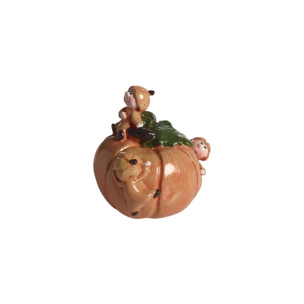 Pumpkin kid, H.5cm