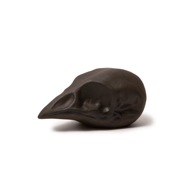 Bird Skull, Matt Black